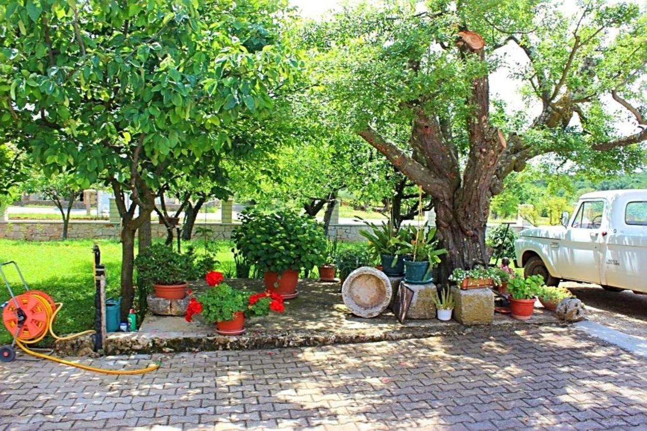 Palmira Appartement Poreč Buitenkant foto