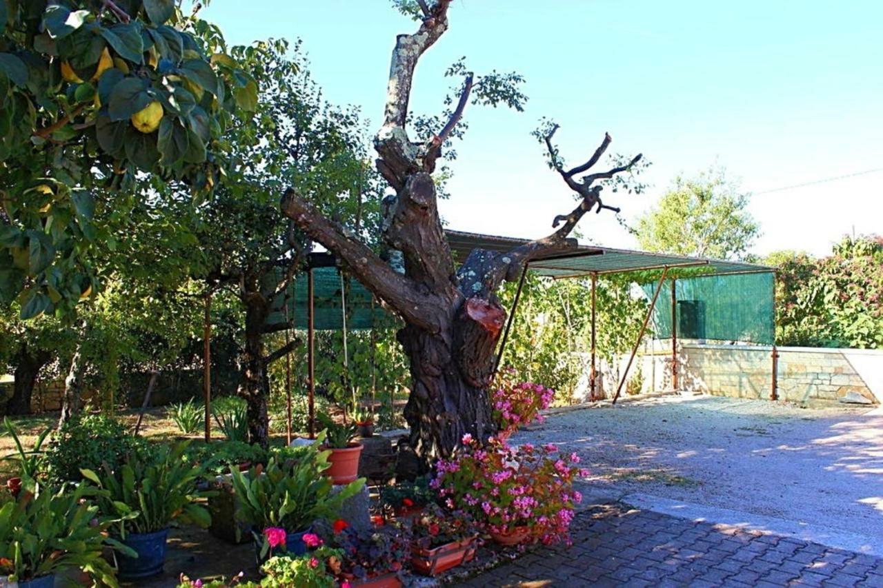 Palmira Appartement Poreč Buitenkant foto